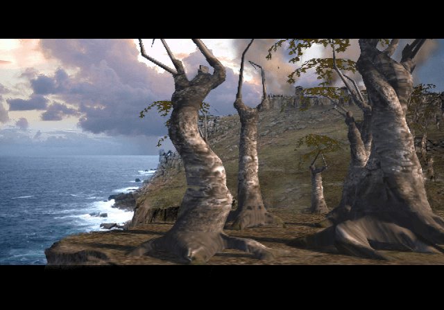 BLOG 2 IMAGE 1.png