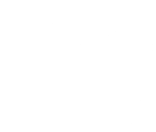 Hello My Name is Chris Name Tag